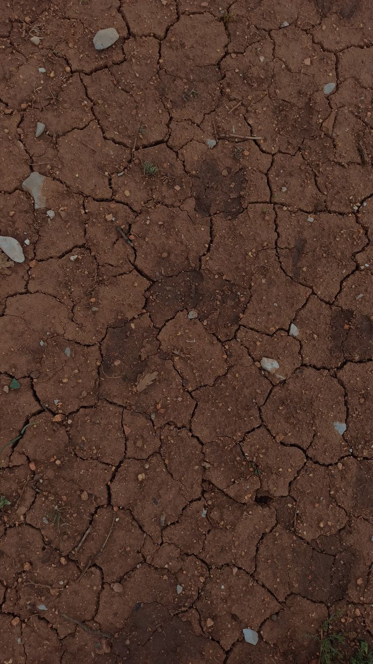 Ground